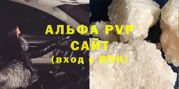 прущий лед Богданович